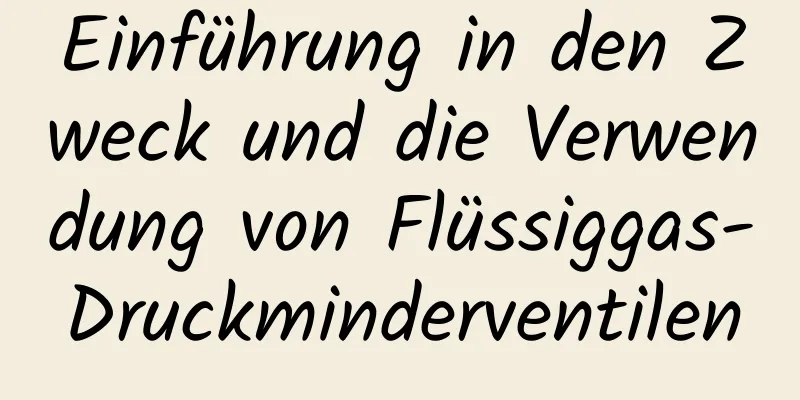 Einführung in den Zweck und die Verwendung von Flüssiggas-Druckminderventilen