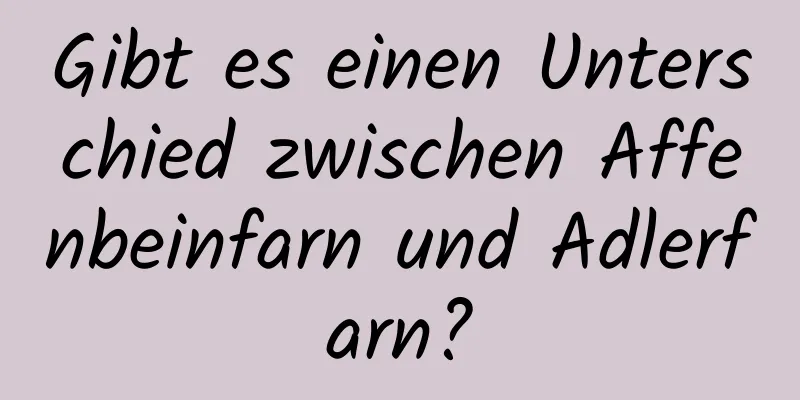 Gibt es einen Unterschied zwischen Affenbeinfarn und Adlerfarn?