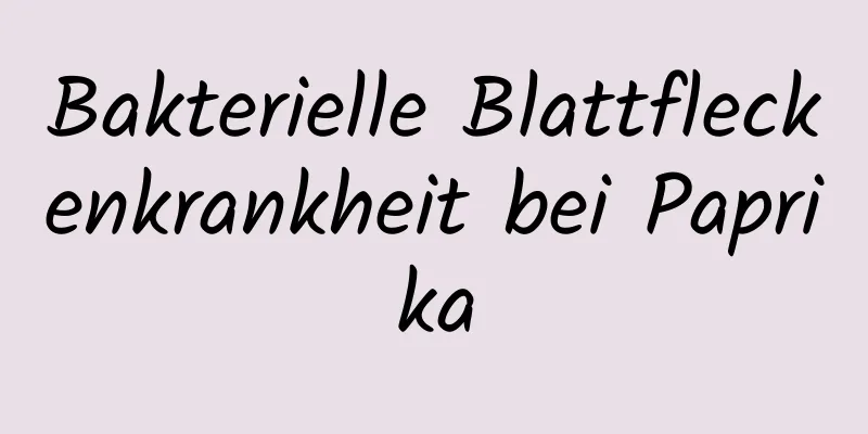 Bakterielle Blattfleckenkrankheit bei Paprika