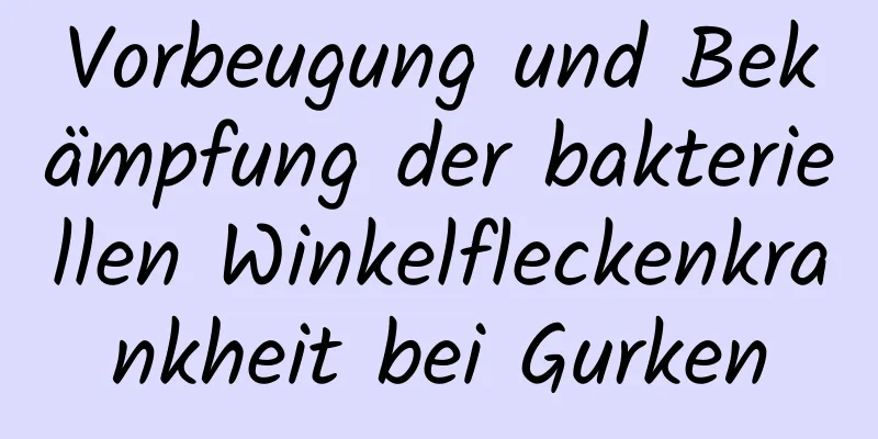 Vorbeugung und Bekämpfung der bakteriellen Winkelfleckenkrankheit bei Gurken
