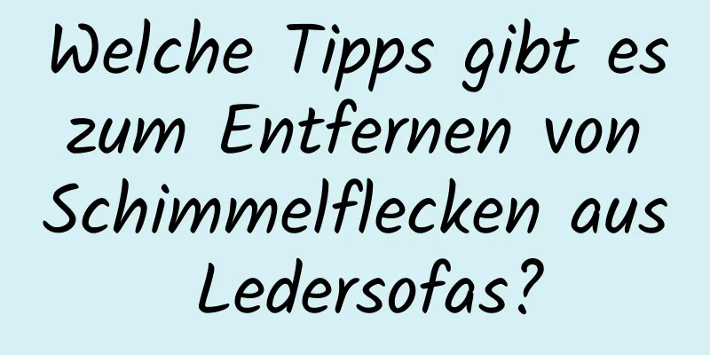 Welche Tipps gibt es zum Entfernen von Schimmelflecken aus Ledersofas?