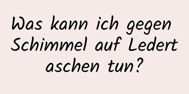 Was kann ich gegen Schimmel auf Ledertaschen tun?