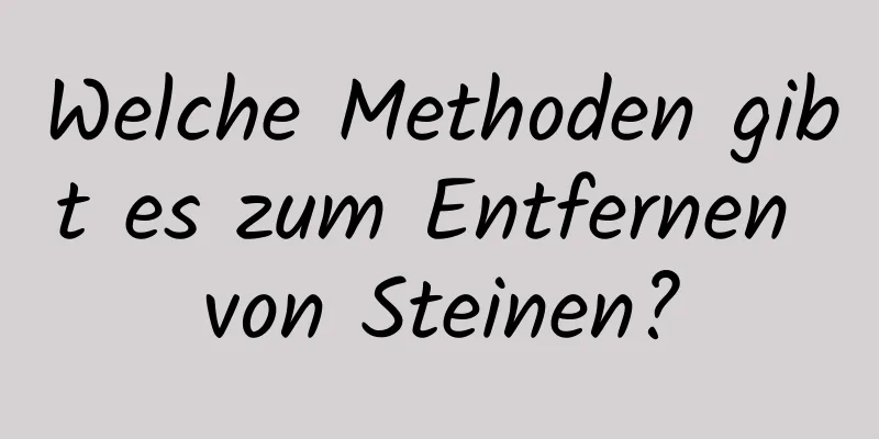 Welche Methoden gibt es zum Entfernen von Steinen?