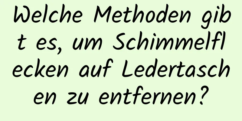 Welche Methoden gibt es, um Schimmelflecken auf Ledertaschen zu entfernen?