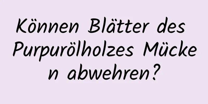 Können Blätter des Purpurölholzes Mücken abwehren?