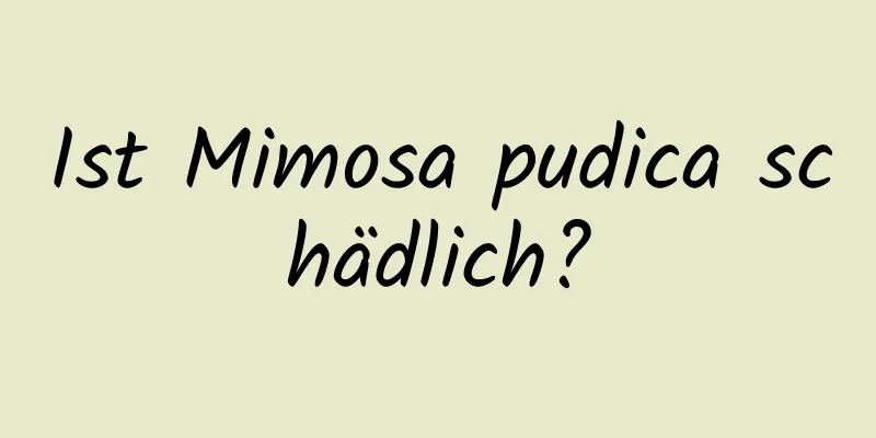 Ist Mimosa pudica schädlich?