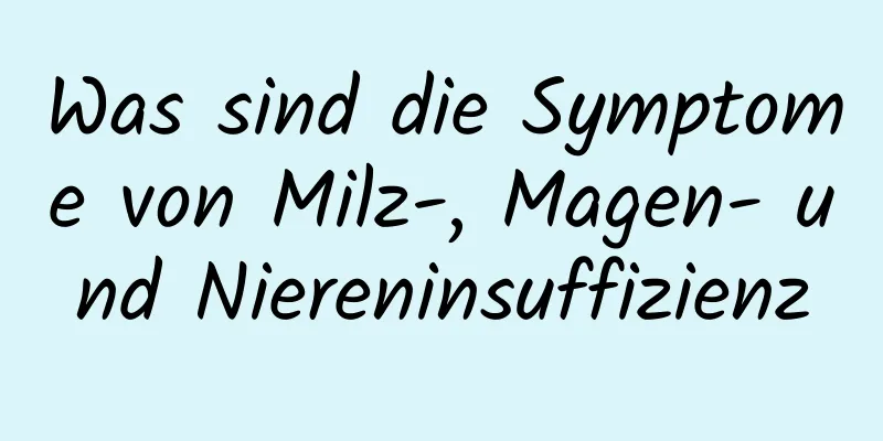 Was sind die Symptome von Milz-, Magen- und Niereninsuffizienz