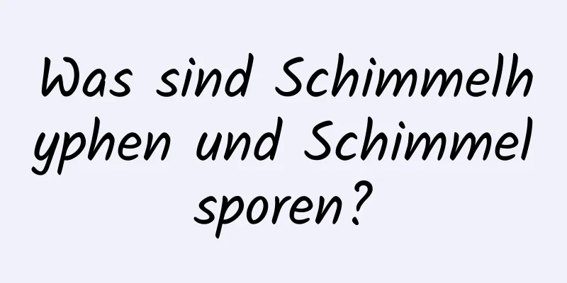 Was sind Schimmelhyphen und Schimmelsporen?