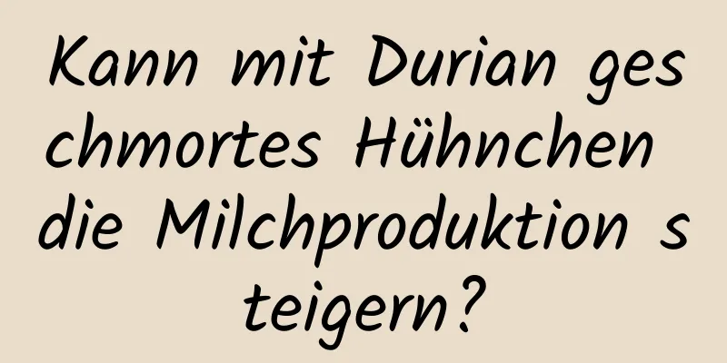 Kann mit Durian geschmortes Hühnchen die Milchproduktion steigern?