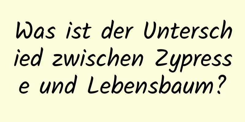 Was ist der Unterschied zwischen Zypresse und Lebensbaum?