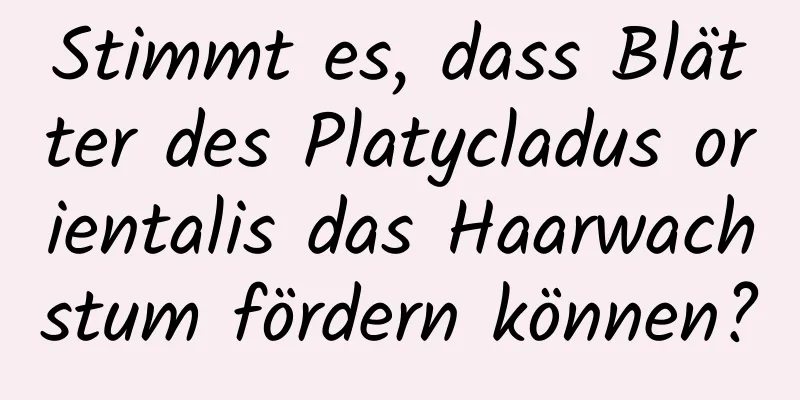 Stimmt es, dass Blätter des Platycladus orientalis das Haarwachstum fördern können?