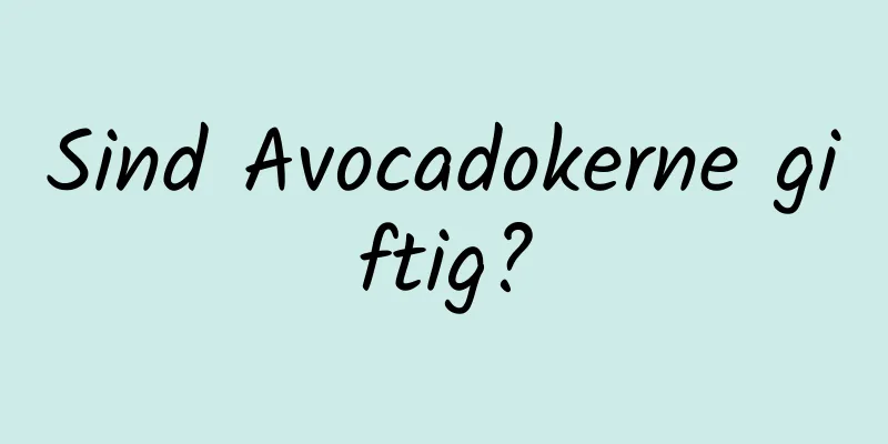 Sind Avocadokerne giftig?