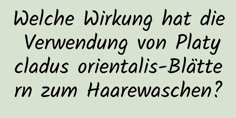 Welche Wirkung hat die Verwendung von Platycladus orientalis-Blättern zum Haarewaschen?
