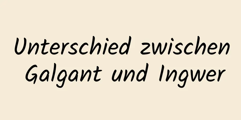 Unterschied zwischen Galgant und Ingwer