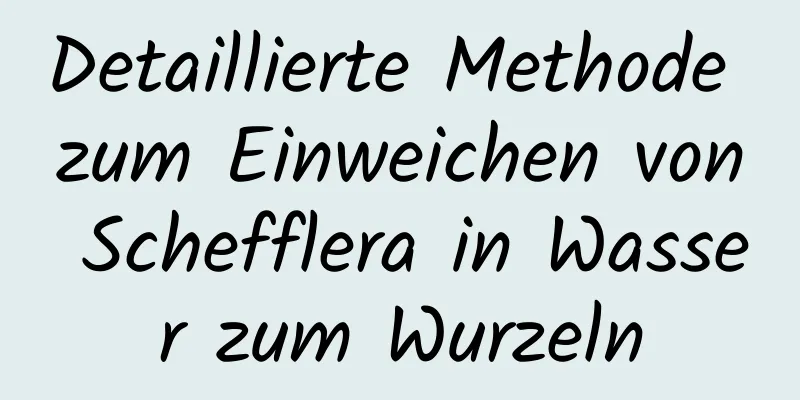 Detaillierte Methode zum Einweichen von Schefflera in Wasser zum Wurzeln