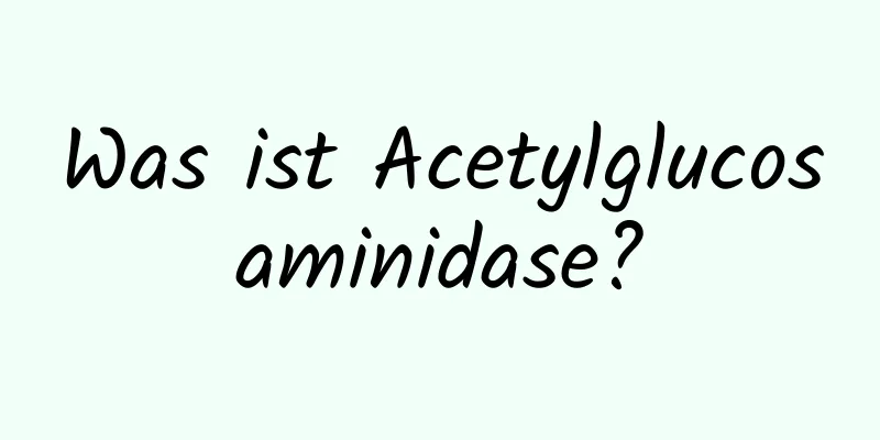 Was ist Acetylglucosaminidase?