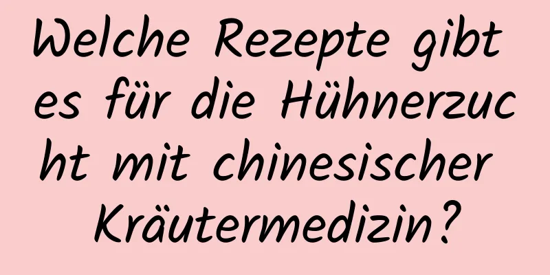 Welche Rezepte gibt es für die Hühnerzucht mit chinesischer Kräutermedizin?