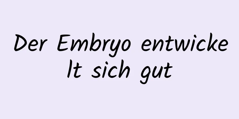 Der Embryo entwickelt sich gut
