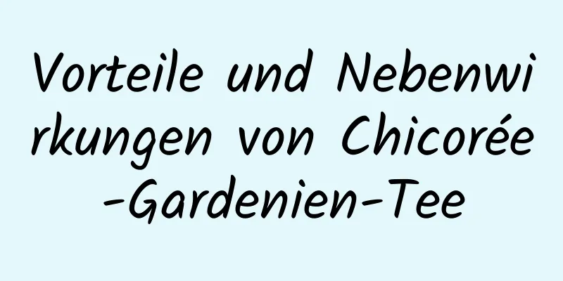 Vorteile und Nebenwirkungen von Chicorée-Gardenien-Tee