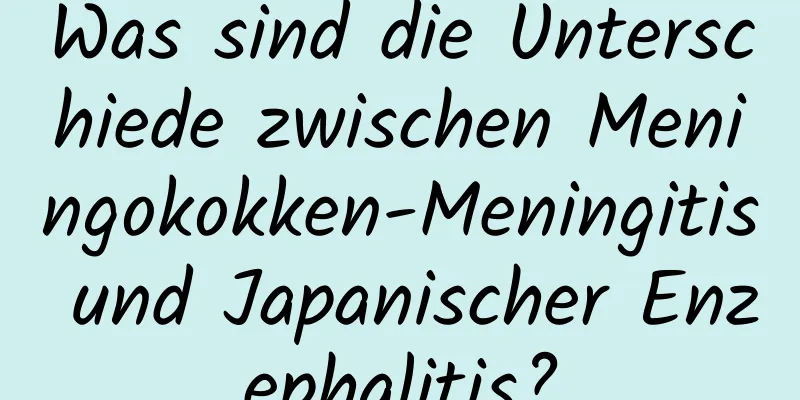 Was sind die Unterschiede zwischen Meningokokken-Meningitis und Japanischer Enzephalitis?