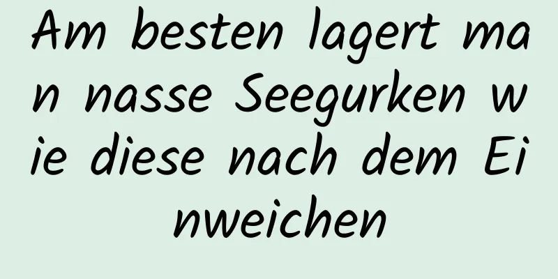 Am besten lagert man nasse Seegurken wie diese nach dem Einweichen