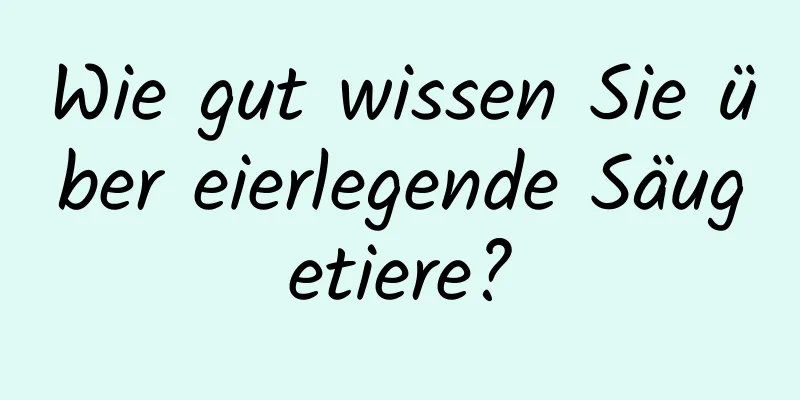 Wie gut wissen Sie über eierlegende Säugetiere?