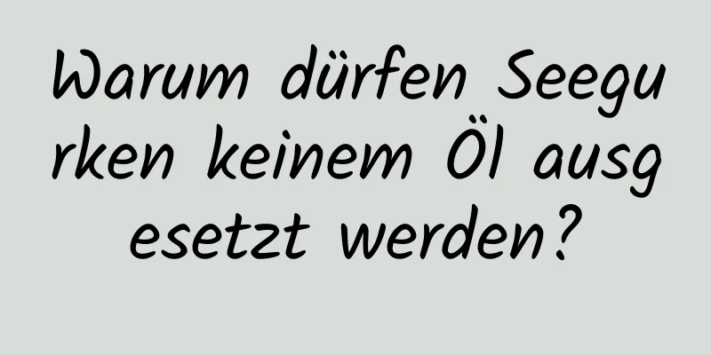 Warum dürfen Seegurken keinem Öl ausgesetzt werden?