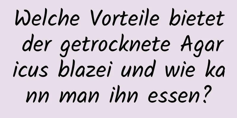 Welche Vorteile bietet der getrocknete Agaricus blazei und wie kann man ihn essen?