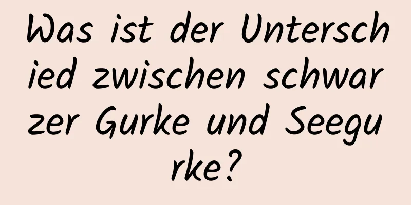 Was ist der Unterschied zwischen schwarzer Gurke und Seegurke?