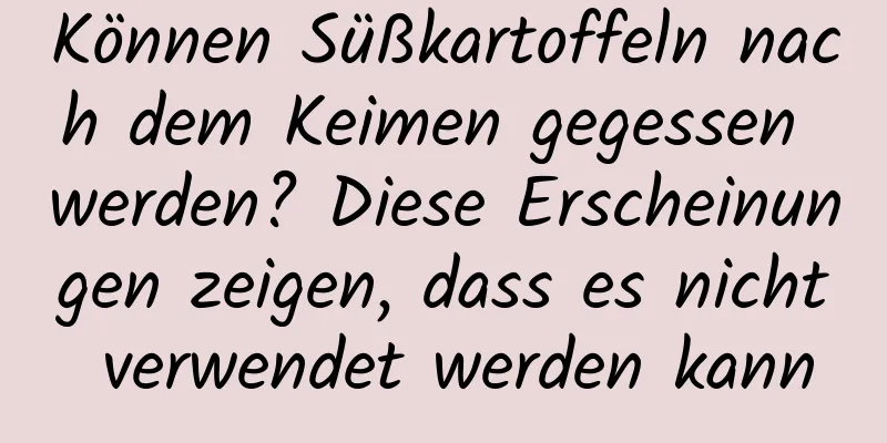 Können Süßkartoffeln nach dem Keimen gegessen werden? Diese Erscheinungen zeigen, dass es nicht verwendet werden kann