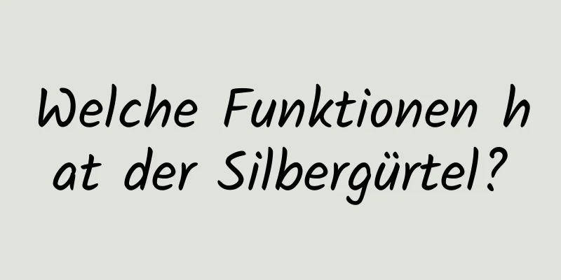 Welche Funktionen hat der Silbergürtel?