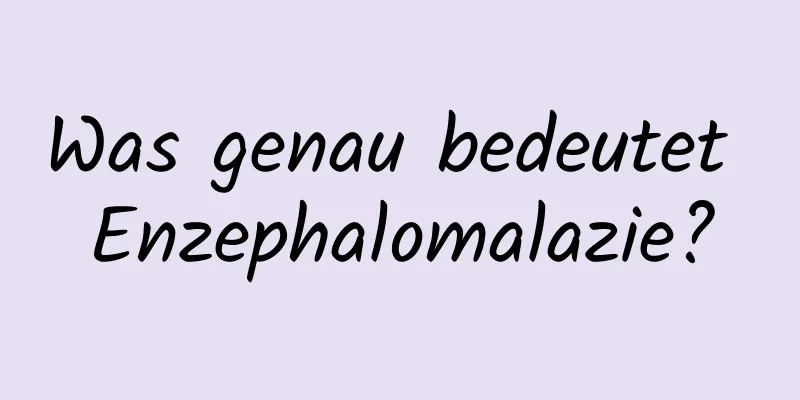 Was genau bedeutet Enzephalomalazie?