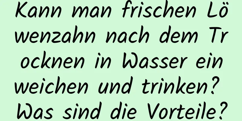 Kann man frischen Löwenzahn nach dem Trocknen in Wasser einweichen und trinken? Was sind die Vorteile?
