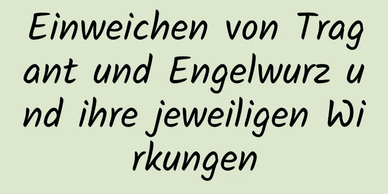 Einweichen von Tragant und Engelwurz und ihre jeweiligen Wirkungen