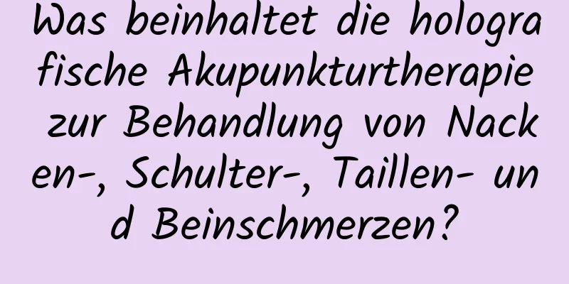 Was beinhaltet die holografische Akupunkturtherapie zur Behandlung von Nacken-, Schulter-, Taillen- und Beinschmerzen?