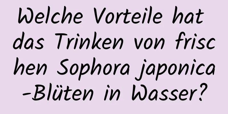 Welche Vorteile hat das Trinken von frischen Sophora japonica-Blüten in Wasser?
