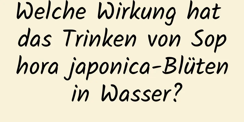 Welche Wirkung hat das Trinken von Sophora japonica-Blüten in Wasser?