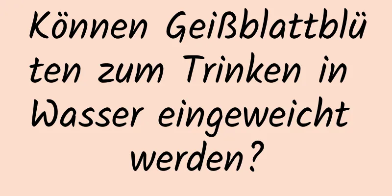Können Geißblattblüten zum Trinken in Wasser eingeweicht werden?
