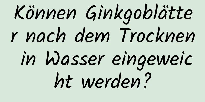 Können Ginkgoblätter nach dem Trocknen in Wasser eingeweicht werden?