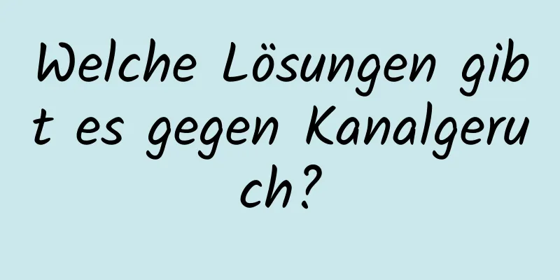 Welche Lösungen gibt es gegen Kanalgeruch?