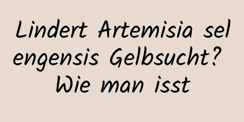 Lindert Artemisia selengensis Gelbsucht? Wie man isst