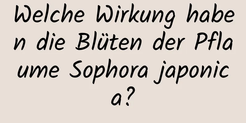 Welche Wirkung haben die Blüten der Pflaume Sophora japonica?