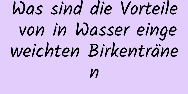 Was sind die Vorteile von in Wasser eingeweichten Birkentränen