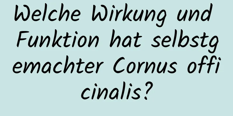 Welche Wirkung und Funktion hat selbstgemachter Cornus officinalis?