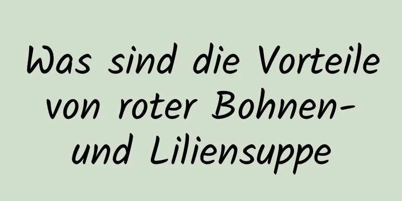 Was sind die Vorteile von roter Bohnen- und Liliensuppe