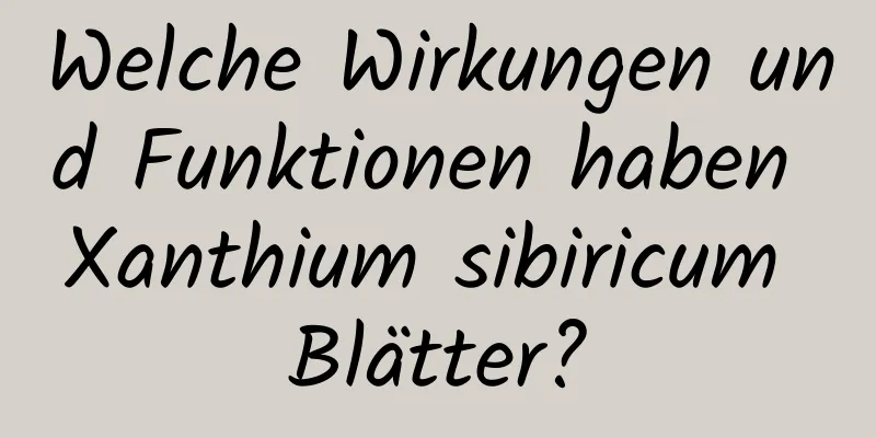 Welche Wirkungen und Funktionen haben Xanthium sibiricum Blätter?