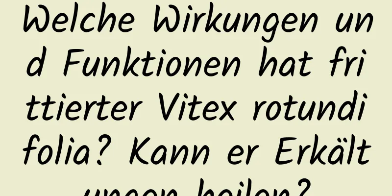 Welche Wirkungen und Funktionen hat frittierter Vitex rotundifolia? Kann er Erkältungen heilen?