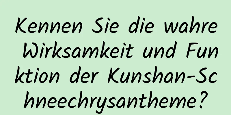Kennen Sie die wahre Wirksamkeit und Funktion der Kunshan-Schneechrysantheme?