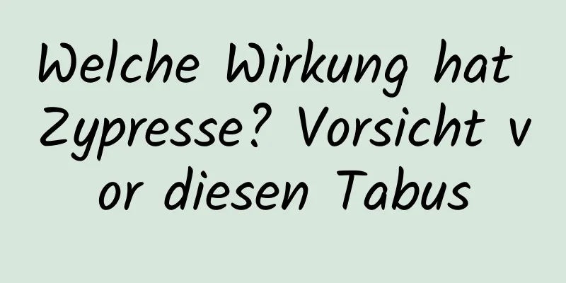Welche Wirkung hat Zypresse? Vorsicht vor diesen Tabus