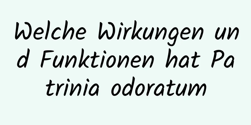 Welche Wirkungen und Funktionen hat Patrinia odoratum